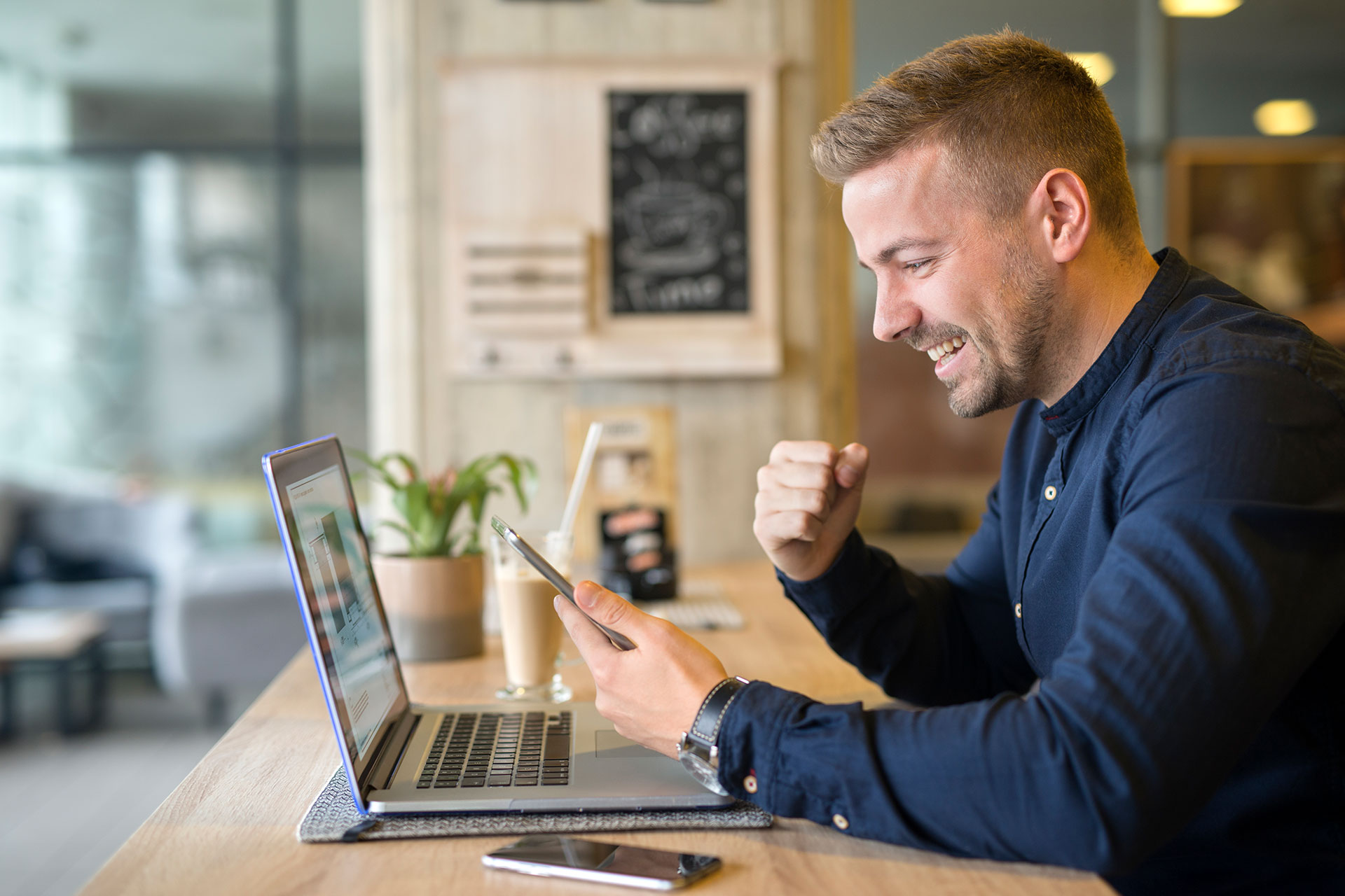 Expert Pest Control Solutions